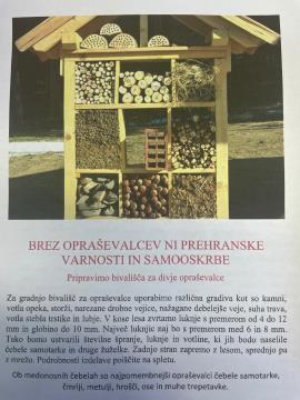 Kako pomagati opraševalcem